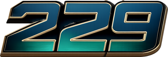 229 Logo